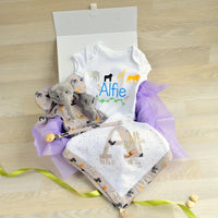 New baby gift set with vest
